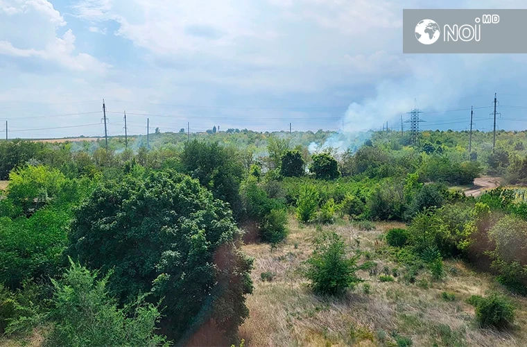 В столичном секторе Ботаника горит растительность.