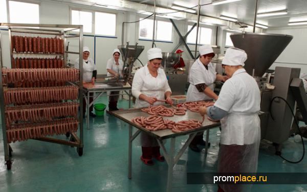 Ororile de la o fabrică de producere a mezelurilor: Şobolani, muşte și viermi în salam. Foto simbol: promplace.ru