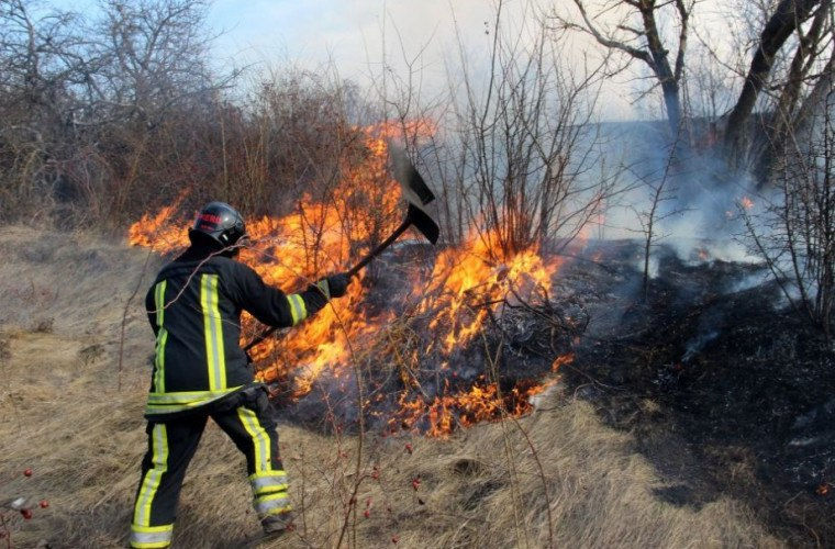 В Молдове за последние 24 часа от лесных пожаров пострадало более 110 га земли.