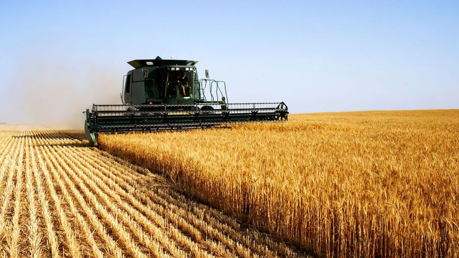 În Transnistria a fost făcut bilanțul anului 2017 în agricultură