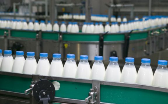Молочные продукты в большой чести на молдавском столе.