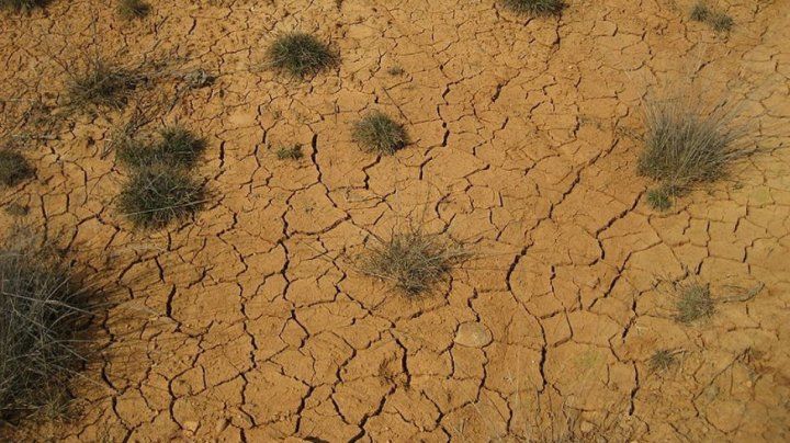 Stare de catastrofă naturală în întreaga țară, din cauza secetei. 