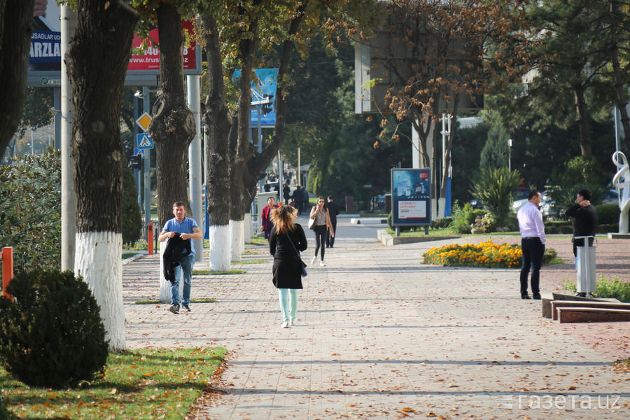 Погодные аномалии в Румынии: в горах - метель, на юге потеплеет до +21°C.