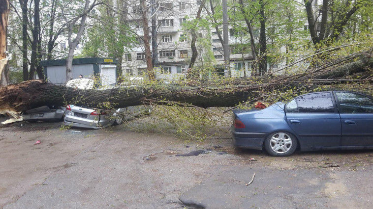 Ploile și vîntul din weekend au adus consecințe multor proprietari de automobile. Foto:jurnal.md