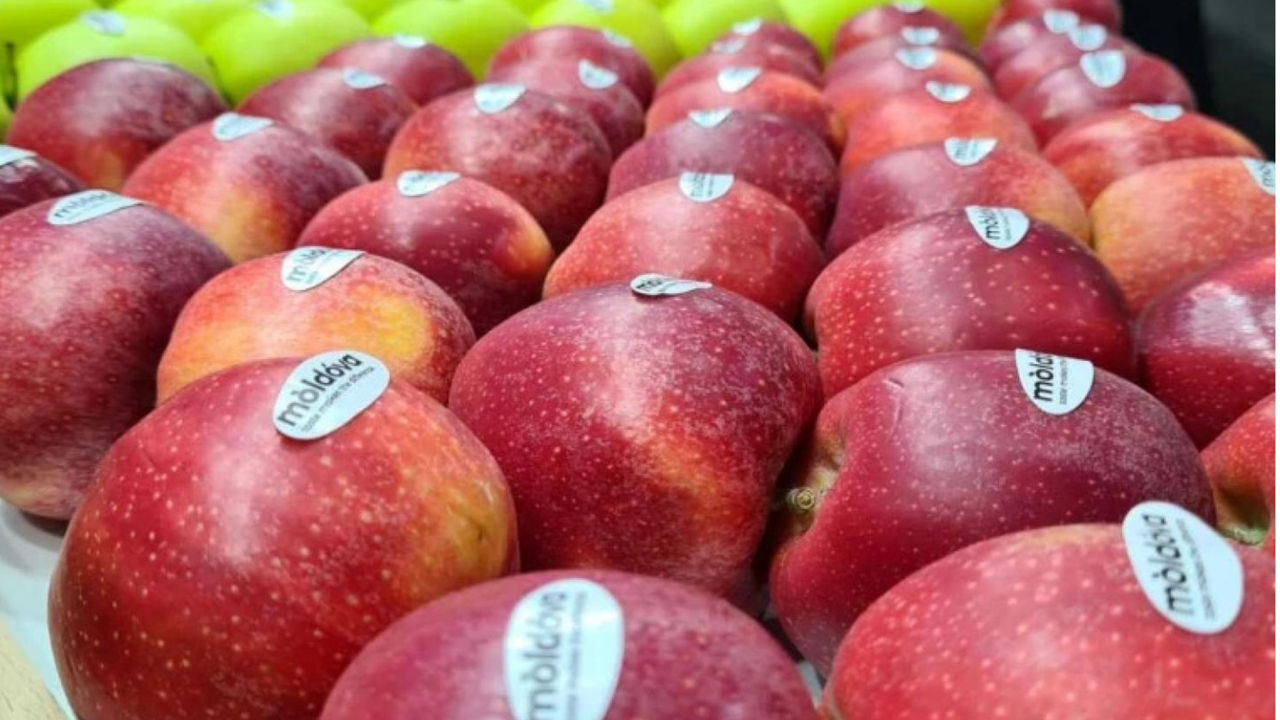 Rusia ar putea interzice complet importul de fructe și pomușoare, inclusiv din Moldova.