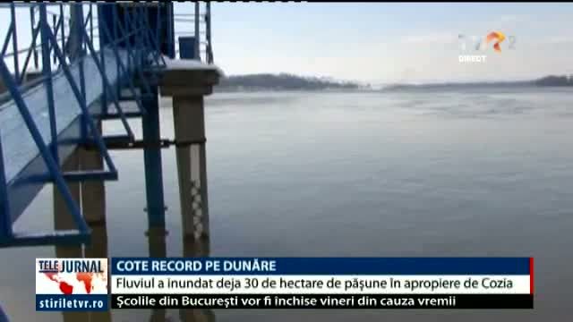 Cote record pe Dunăre. Fluviul a inundat deja 30 de hectare de pășune.