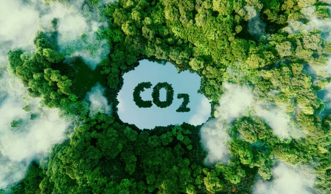 Ученые разработали нечто, способное поглотить парниковые газы на Земле.