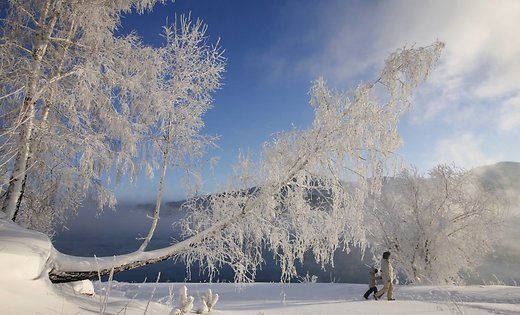 Климатолог предсказал Европе самую суровую зиму за столетие .