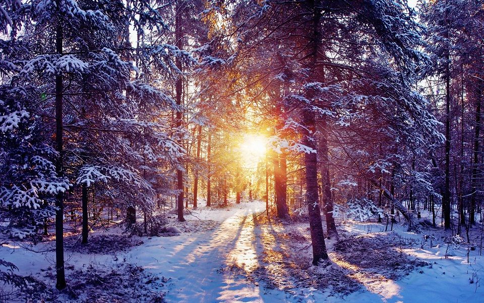 Meteo 22 februarie 2018: Câte grade vor indica termometrele. Foto: Radio Resita