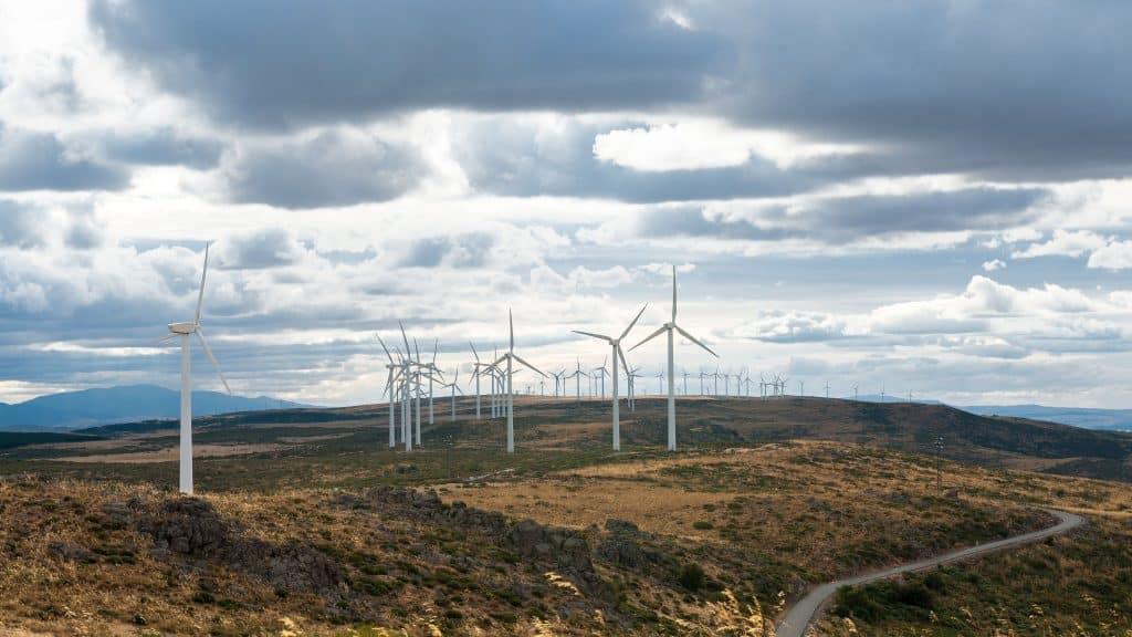Europa înregistrează o scădere bruscă a vitezei vântului: Industria energiei eoliene este afectată.