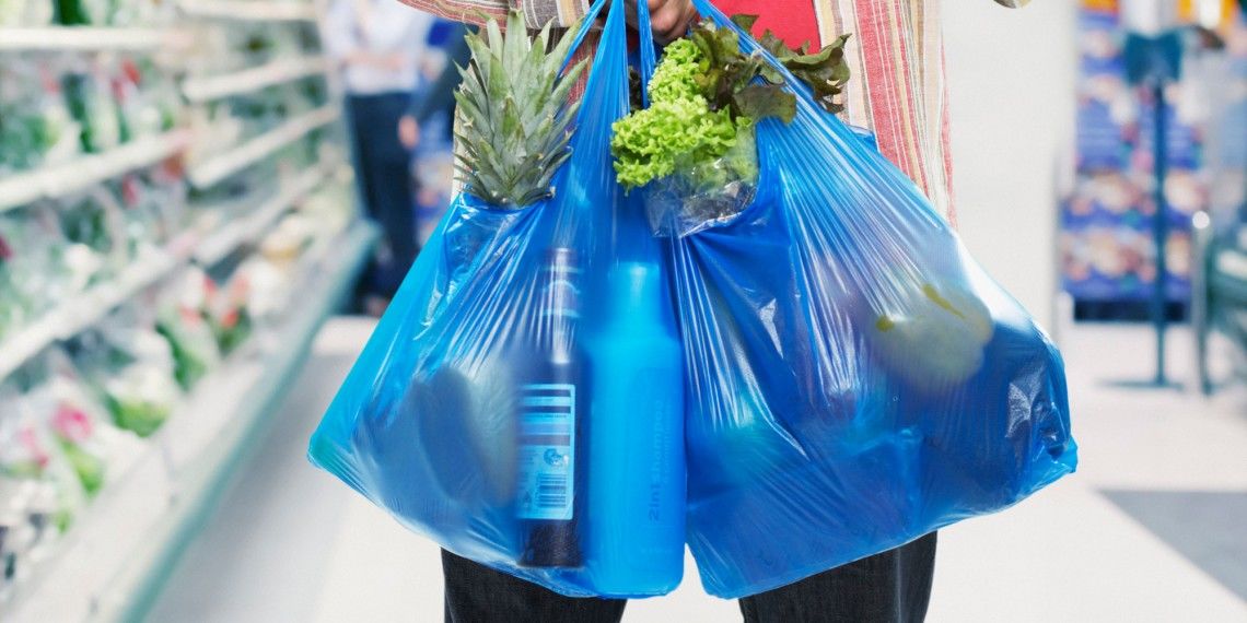 Pungile de plastic de unică folosinţă vor fi interzise în magazinele din Republica Moldova. 