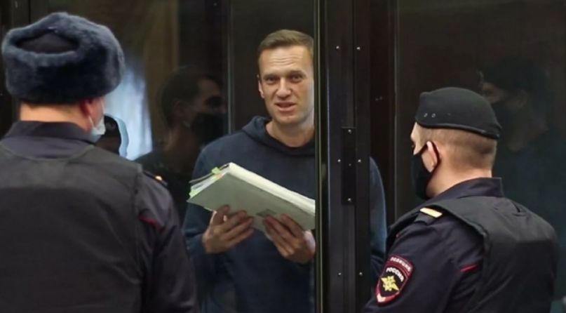 Навальному отправляют много снимков с котами: Моя камера забита котами.