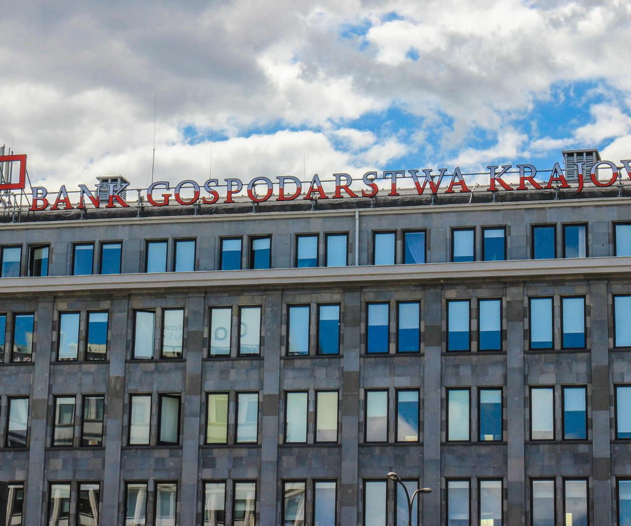 Власти Молдовы хотят получить у Bank Gospodarstwa Krajowego кредит €5 млн.