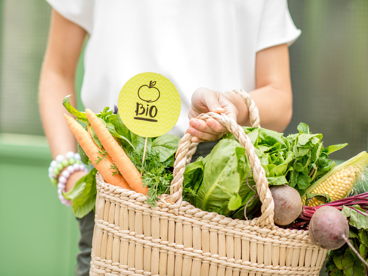 Молдавские производители эко-продуктов совершат ознакомительный визит в Чехию.