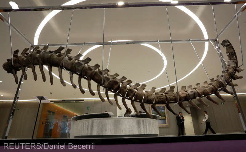O coadă de dinozaur, vândută la licitație cu 96.774 de dolari