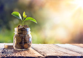 De subvenţii pot beneficia doar producătorii agricoli care corespund anumitor criterii. 