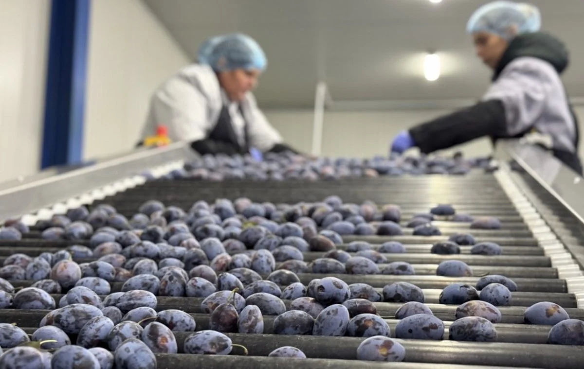 Producătorii de fructe și legume care respectă standardele vor fi scutiți de controale repetate.