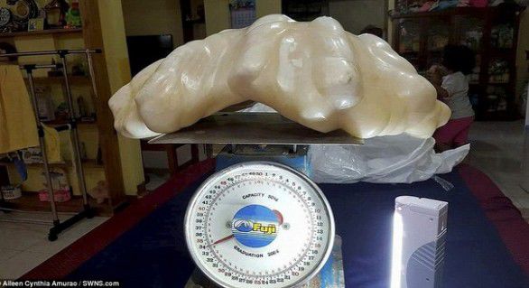 Un pescar a găsit o perlă ce valorează 100 de milioane de dolari. Foto: swns.com