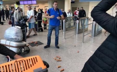 Alexei Navalnîi, atacat cu cârnați pe aeroportul Domodedovo din Moscova. Foto: agerpres.ro