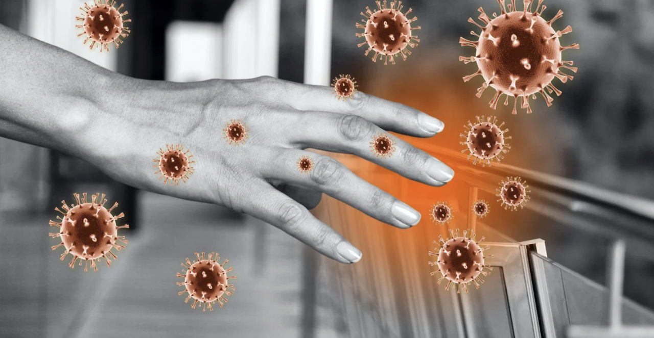 В больницах и канализациях 102 городов мира нашли 40 000 новых вирусов.