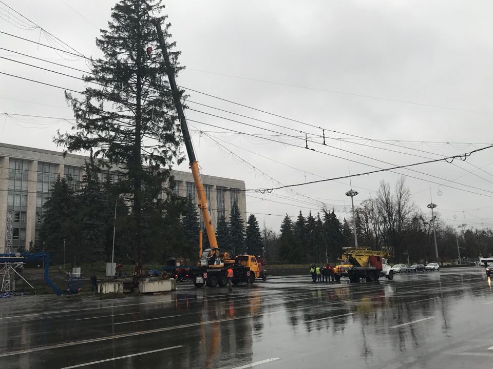 Silvia Radu: Dezinstalarea bradului din PMAN. Va cumpăra altul