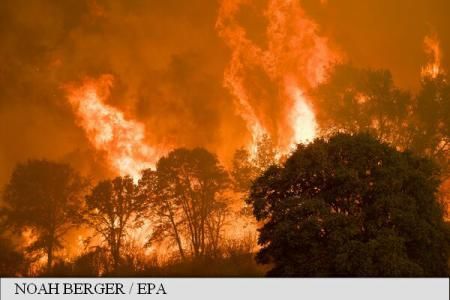 Albania cere ajutorul NATO pentru stingerea incendiilor. Foto: Agerpres