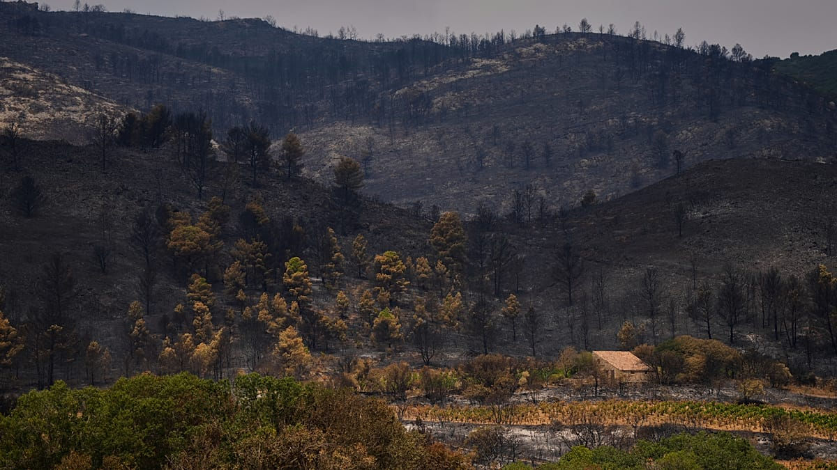 Incendii forestiere de proporții în Franța provocate de temperaturi neobișnuit de ridicate.