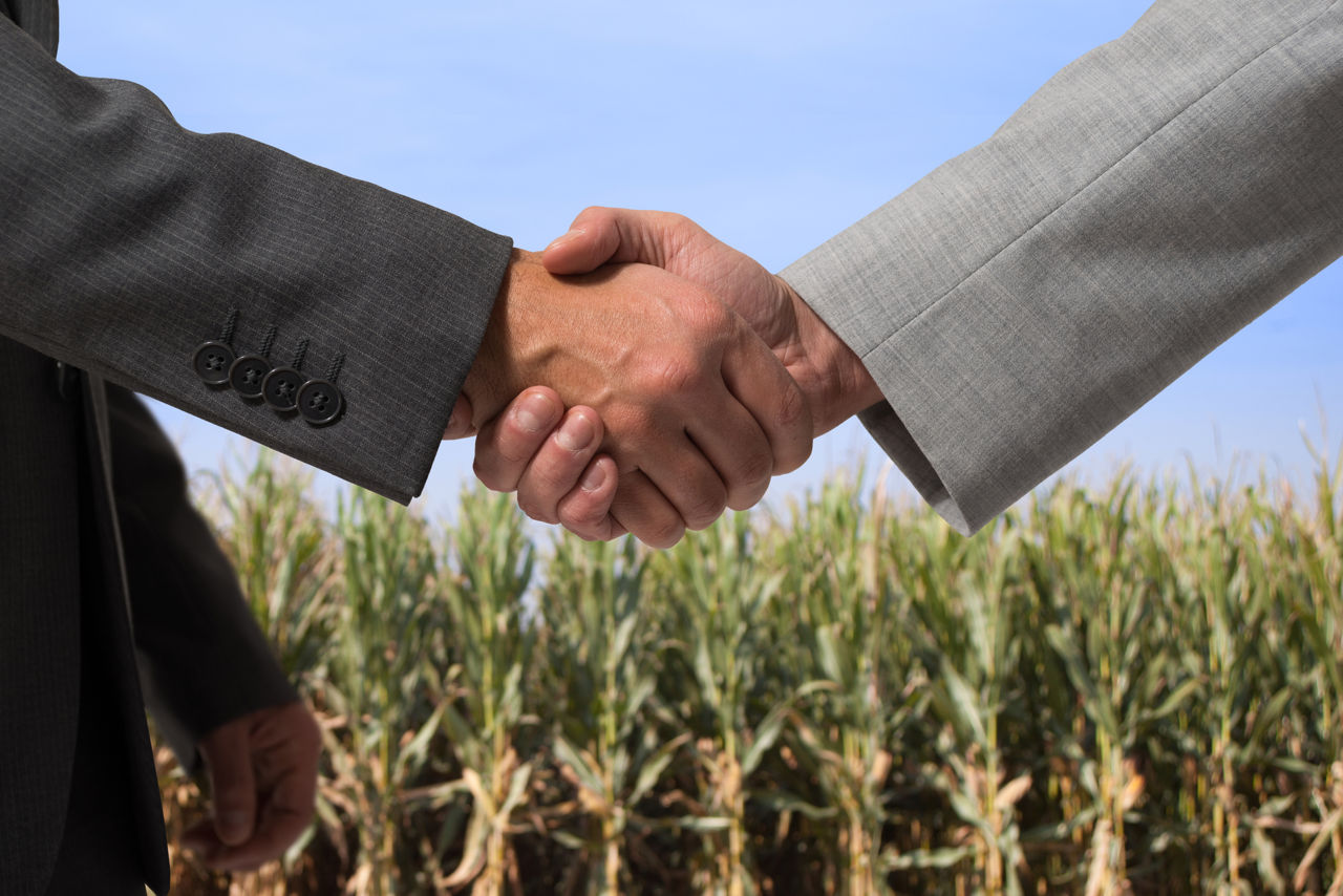 Contractele de vânzare-cumpărare pentru terenurile agricole nu vor mai trebui autentificate notarial.