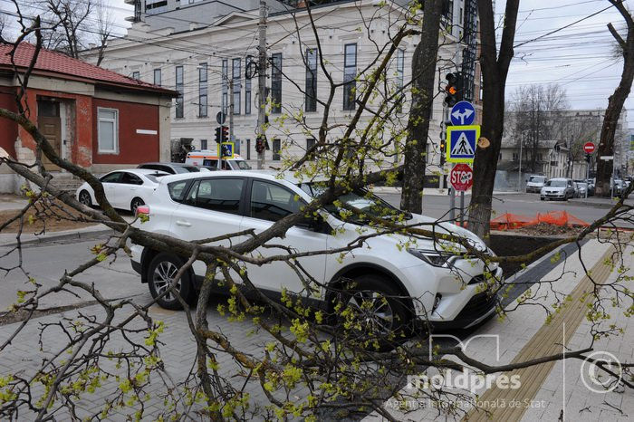 Во вторник сильный ветер повалил около 200 деревьев в Кишиневе.