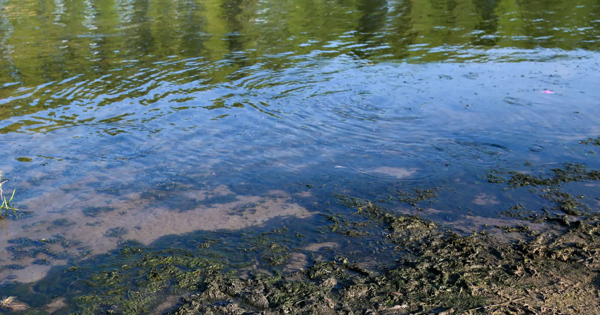 Новоднестровское водохранилище потеряло 63,4 млн кубометров воды за 20 дней.