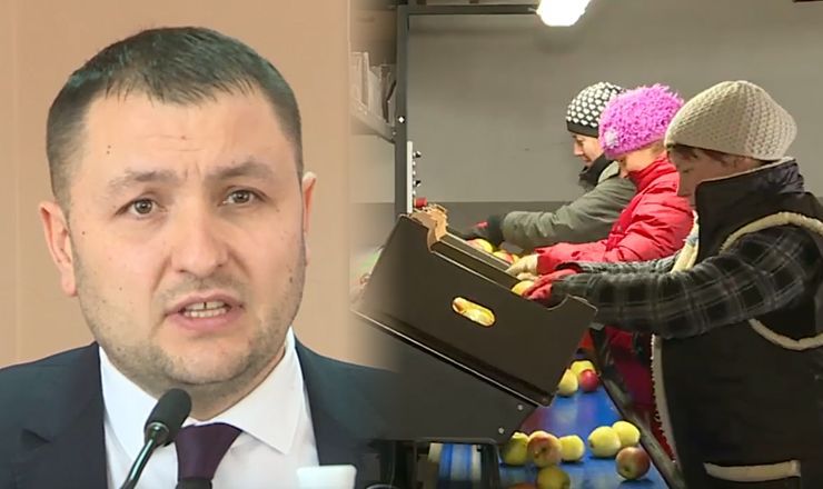 Более 80-и фермеров собрала в Оргеевском районе встреча с представителями Агентства по интервенциям и платежам в сельском хозяйстве. 