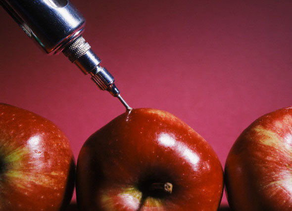 FDA считает, что генномодифицированные продукты не вредят здоровью.