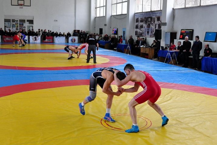Всего в турнире принимали участие 93 спортсмена и 23 спортсменки из 16 населенных пунктов республики.