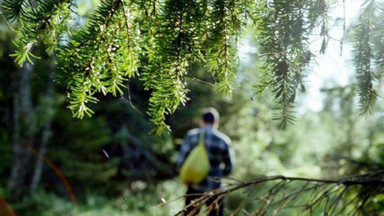 Au sustras procesorul de la camerele supraveghere, a fost să împiedice investigaţiile petrecute de poliţişti, ulterior fiind îngropat într-o pădure de la periferia Capitalei.