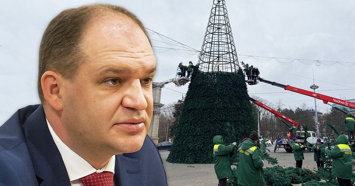 Чебан: Новогоднюю елку в центре Кишинева установят 23 декабря.