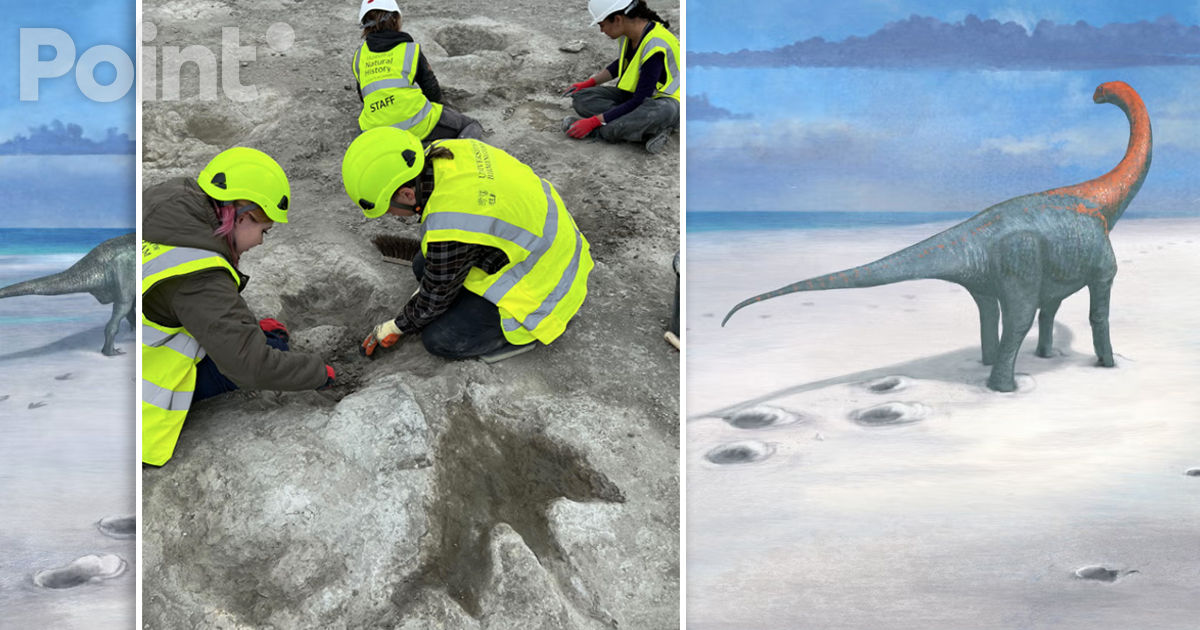 O „șosea a dinozaurilor”, descoperită de arheologi în Marea Britanie.