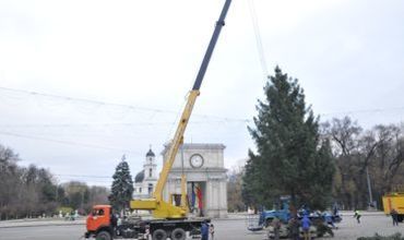 Ce spun locuitorii Capitalei despre întârzierea Pomului de Crăciun