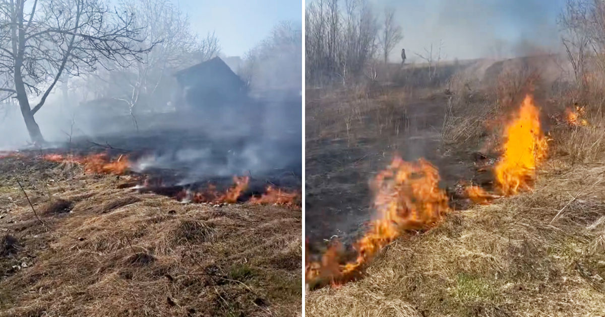 Incendiu de vegetație uscată în raionul Glodeni: Focul a cuprins 1,5 hectare de teren.
