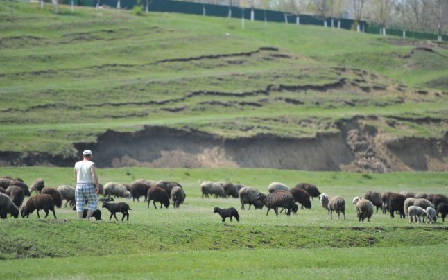 Răzbunarea cruntă a unui bărbat înşelat de soţie cu un cioban. 