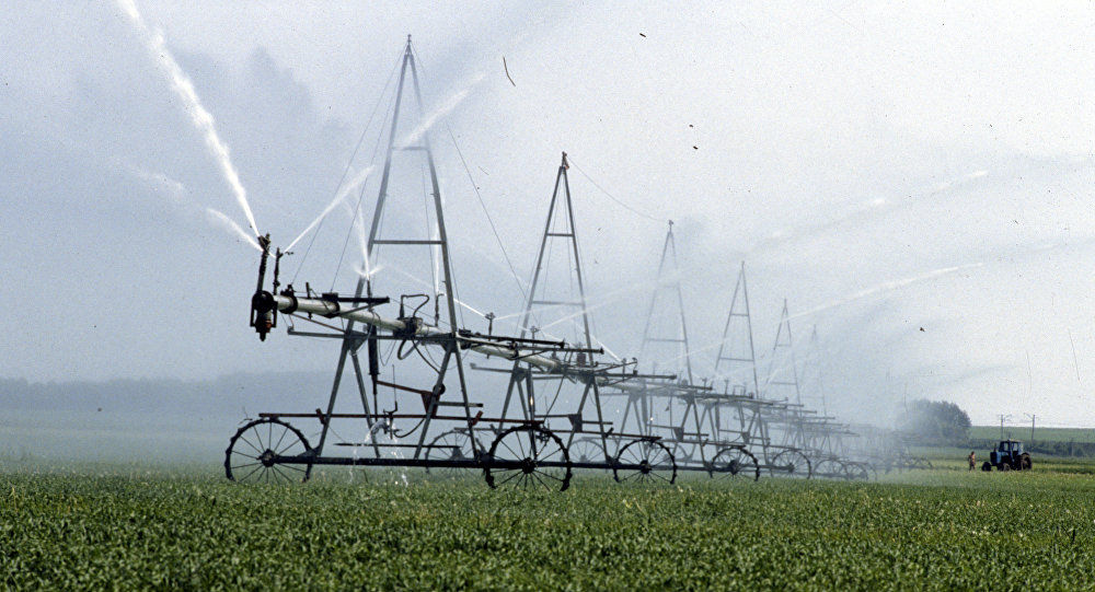 Prutul şi Nistrul ar putea asigura irigarea a peste 400 de mii de hectare. Foto: Sputnik/ Фред Гринберг