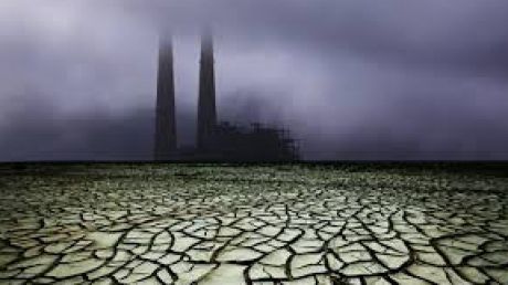 Maimuţele sunt susceptibile de a ne preceadă la dispariţie. Foto: descopera.ro