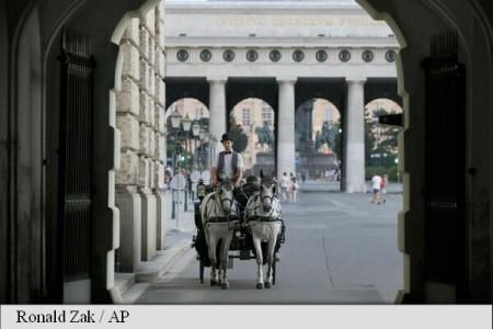 Trăsurile cu cai, retrase de pe străzile Vienei din cauza caniculei. Foto: Agerpres