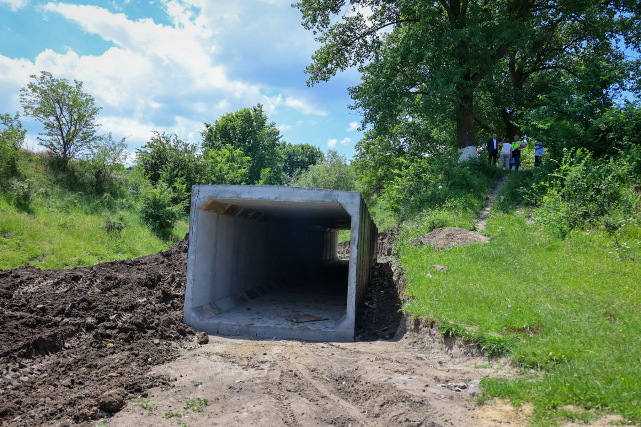 În satul Telița se desfășoară lucrări de consolidare a digului pe Nistru.