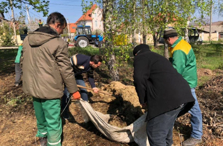 Жильцы многоэтажных домов мобилизовались для уборки своих дворов.