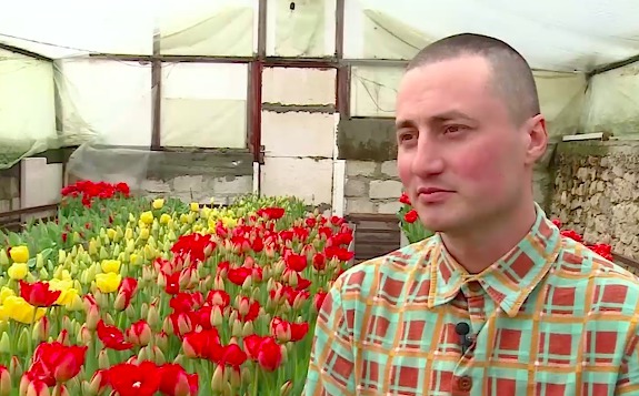 Молдавские тюльпаны готовят к продаже в преддверии 8 марта.