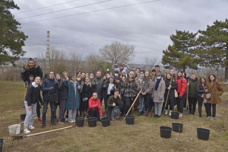 В столице прошла масштабная акция по высадке деревьев.