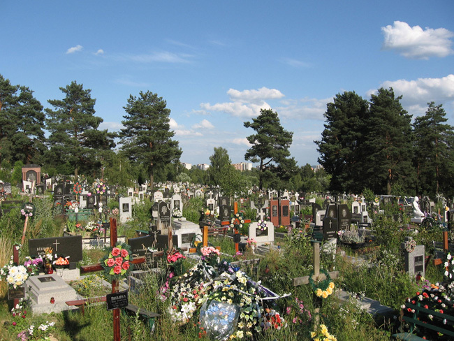 О происшествии спасателям сообщили местные жители. Фото: wikipedia.org.