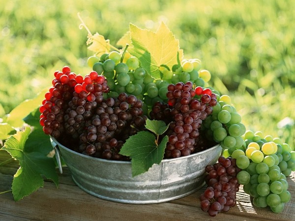 Un nou lot de fructe din ţara noastră a fost rebutat de serviciul fitosanitar rus, Rosselhoznadzor.