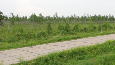 Похититель демонтировал покрытие, выложенное железобетонными плитами. Фото: transsib.ru