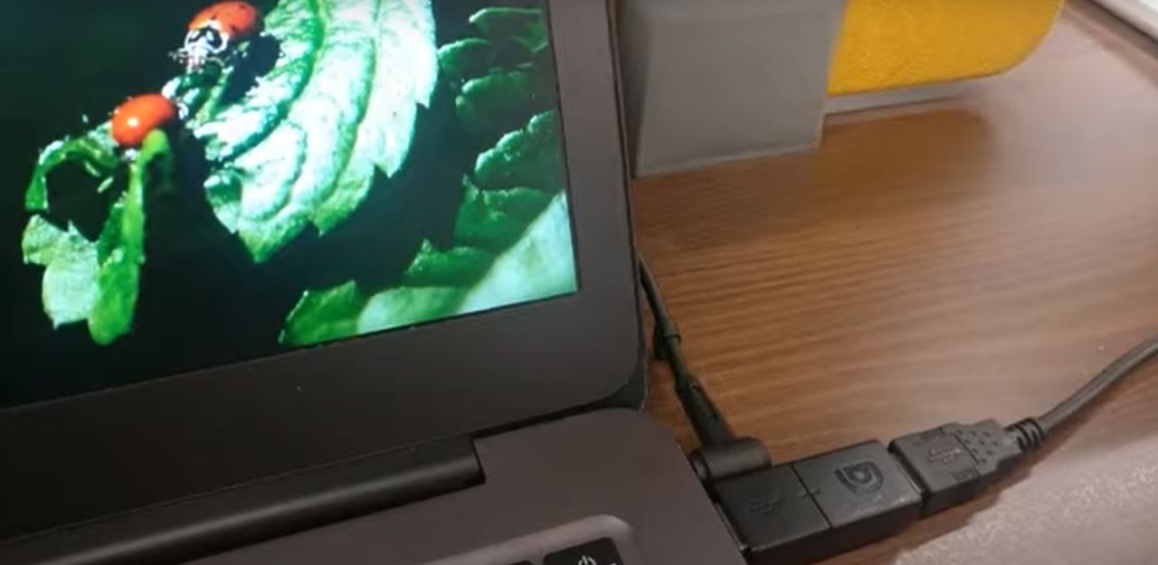 В США представили USB-устройство, стирающее файлы на ноутбуке в случае его кражи.